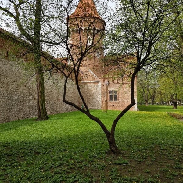 lycee-jean-de-berry-bourges-voyage-cracovie-4